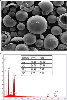 Biotransformation and Cytotoxicity Evaluation of Kraft Lignin Degraded by Ligninolytic Serratia liquefaciens